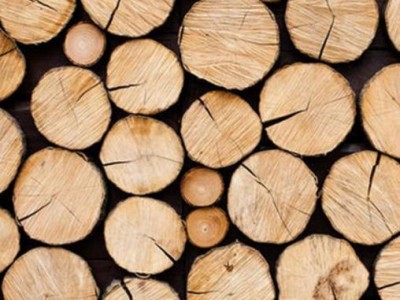 木材成分分析和木制品检测报告