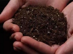中山土壤检测机构：绿化与绿化土壤环境质量检测
