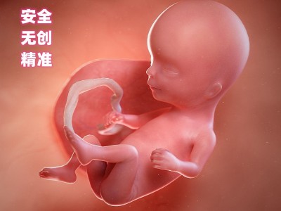无创胎儿亲子鉴定检测