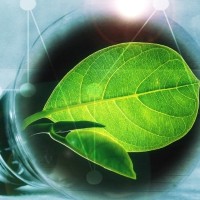 上海职业卫生检测与评价机构：专业检测报告与合理费用，守护劳动者健康