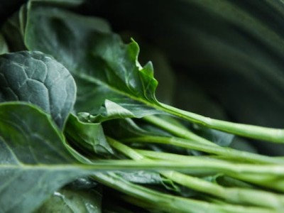 大连食品添加剂检测机构，高效检测报告，费用合理浪漫之都的食品卫士