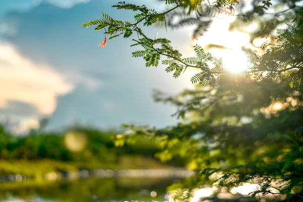 抗菌材料测试检测中心,材料抗菌性能测试 抗菌材料测试检测中心,材料抗菌性能测试