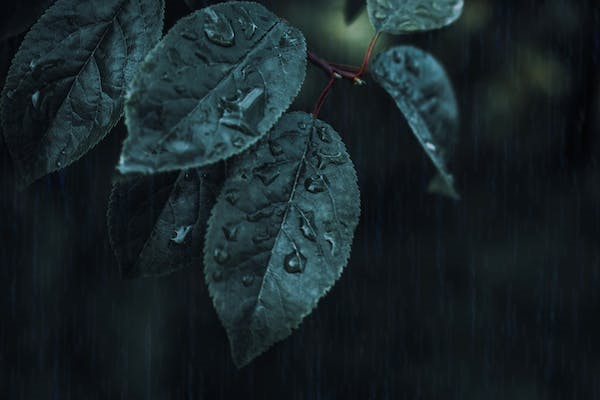 抗菌检测机构，抗菌检测中心
